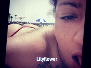 Lilyflower