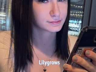 Lilygrows