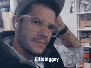 Litlebigguy