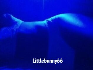 Littlebunny66