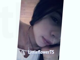 LittleflowerTS