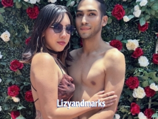 Lizyandmarks