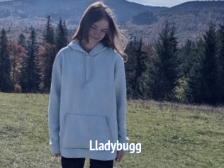 Lladybugg