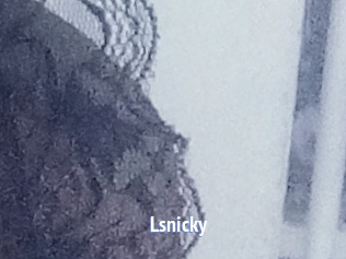 Lsnicky