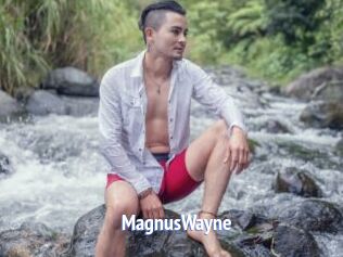 MagnusWayne