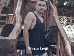 Marcus_Levit