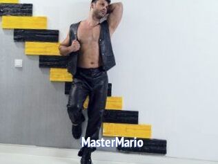 MasterMario
