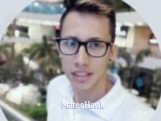 MateoHawk