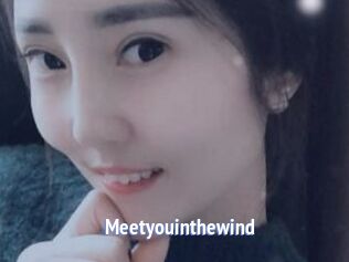 Meetyouinthewind