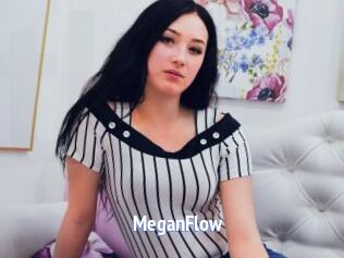 MeganFlow