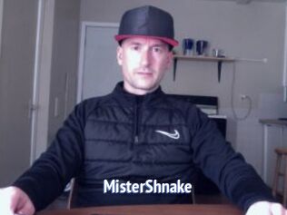 MisterShnake