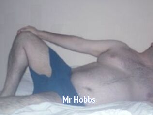 Mr_Hobbs