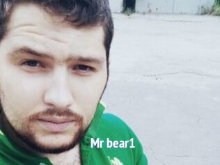 Mr_bear1