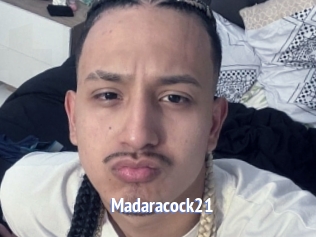 madaracock21 Telefon Kontakte