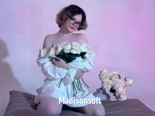 Madisonsoft