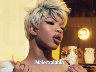 malecxalahia Telefon Kontakte