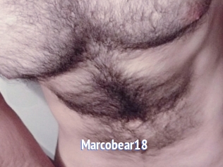 Marcobear18