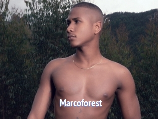 Marcoforest