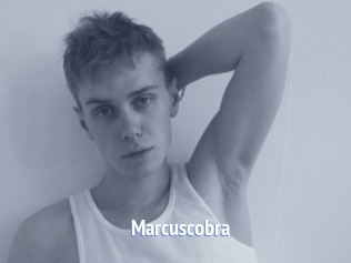 Marcuscobra