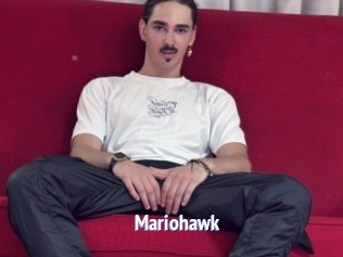 Mariohawk