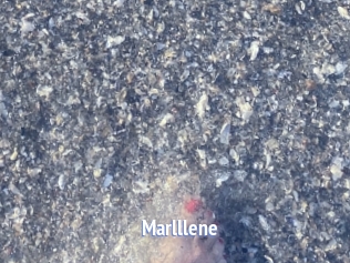 Marlllene