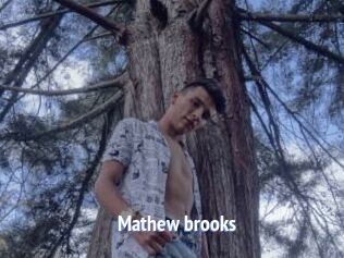 Mathew_brooks