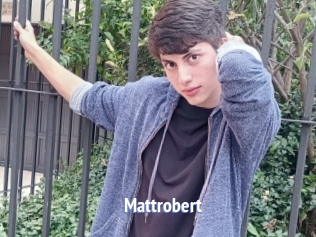 Mattrobert