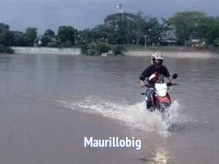 Maurillobig