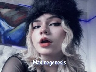 Maxinegenesis