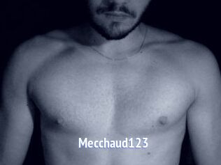 Mecchaud123