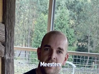 Meesterv