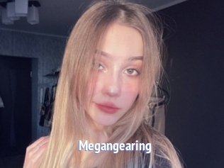 Megangearing
