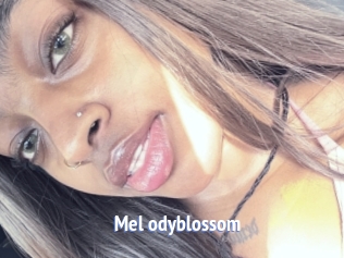 Mel_odyblossom