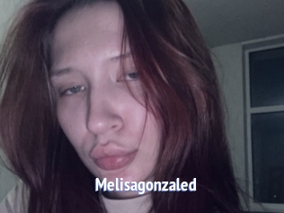 Melisagonzaled