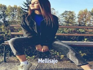 Mellisajo