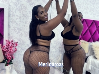 Meridaroas