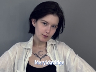 Meryldavidge