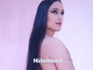 Michelebosse