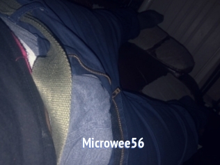 Microwee56