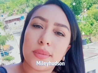 Mileyhudson