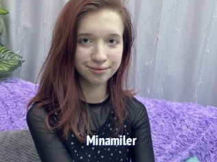 Minamiler