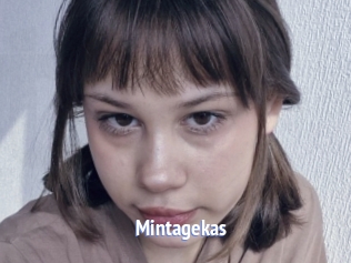 Mintagekas