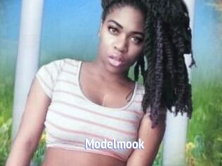 Modelmook
