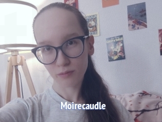 Moirecaudle