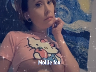 Mollie_fox