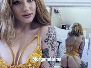 Morganallama