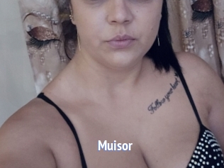 Muisor