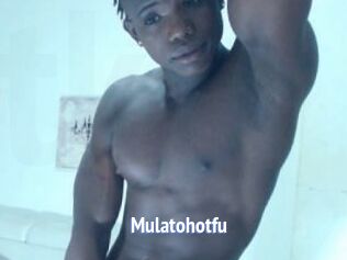 Mulatohotfu