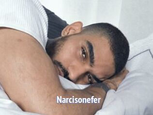 Narcisonefer
