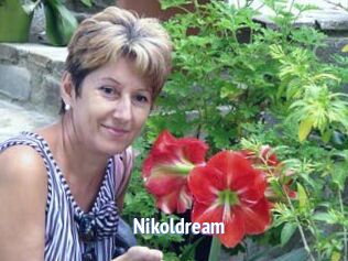 Nikoldream